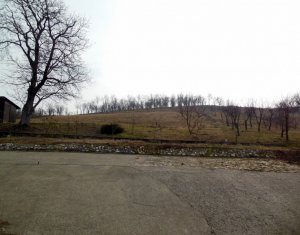 Ház 3 szobák eladó on Mica