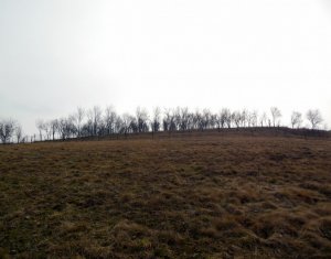 Ház 3 szobák eladó on Mica