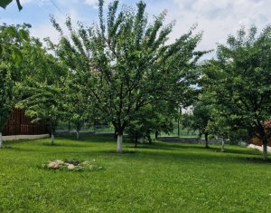 Ház 5 szobák eladó on Cluj-napoca, Zóna Zorilor