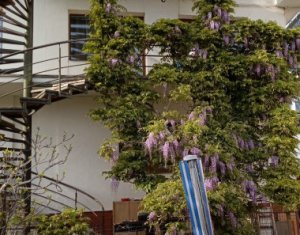 , 320m2 on Cluj-napoca, Zóna Zorilor