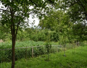 Maison 5 chambres à vendre dans Cluj-napoca, zone Dambul Rotund