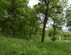 Maison 5 chambres à vendre dans Cluj-napoca, zone Dambul Rotund