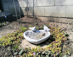 Ház 3 szobák eladó on Gheorghieni, Zóna Centru