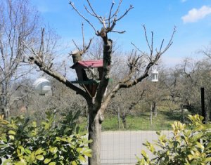 Ház 3 szobák eladó on Gheorghieni, Zóna Centru