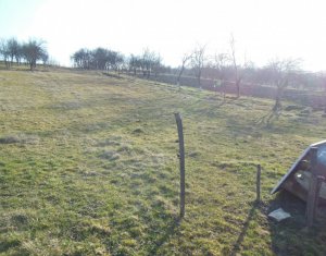 Ház 2 szobák eladó on Luna De Jos