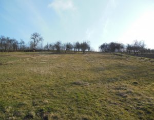 Ház 2 szobák eladó on Luna De Jos