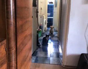 Lakás 3 szobák eladó on Cluj-napoca, Zóna Manastur