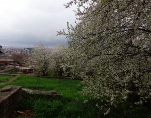 Telek eladó on Cluj-napoca, Zóna Dambul Rotund