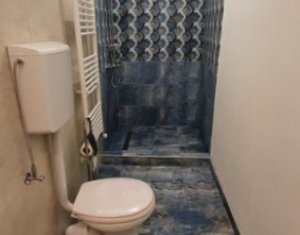 Maison 2 chambres à vendre dans Cluj-napoca, zone Gara