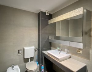 Appartement 2 chambres à louer dans Cluj-napoca, zone Gheorgheni