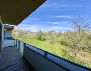 Appartement 2 chambres à louer dans Cluj-napoca, zone Gheorgheni