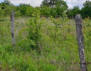 Telek eladó on Cluj-napoca, Zóna Buna Ziua
