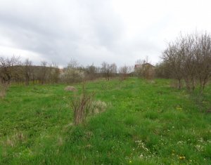 Ház 3 szobák eladó on Chinteni