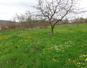 Telek eladó on Chinteni