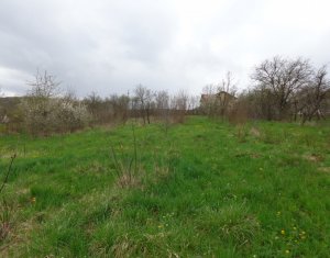 Telek eladó on Chinteni