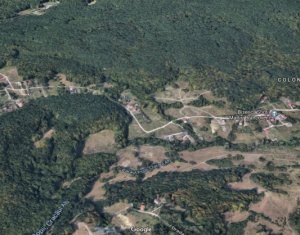 , 995m2 on Cluj-napoca