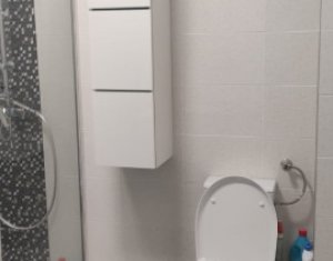 Maison 4 chambres à louer dans Cluj-napoca, zone Iris