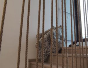 Maison 4 chambres à louer dans Cluj-napoca, zone Iris