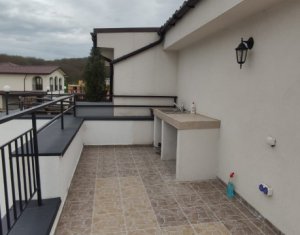 Maison 4 chambres à louer dans Cluj-napoca, zone Iris