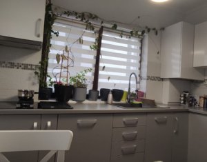 Maison 4 chambres à louer dans Cluj-napoca, zone Iris