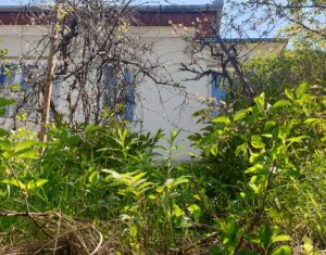 , 667m2 on Cluj-napoca, Zóna Centru