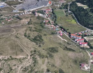 , 2900m2 on Floresti