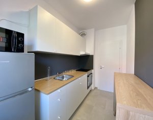 Lakás 2 szobák kiadó on Cluj-napoca, Zóna Centru