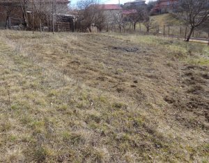 Telek eladó on Dezmir