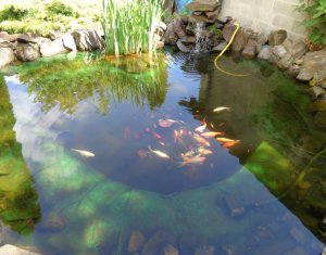 , 240m2 on Cluj-napoca, Zóna Gruia