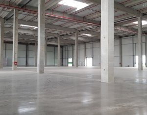Industrial space for rent, 3440m2 in Floresti