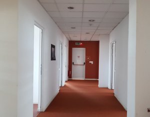 Birouri 200mp cladire office, zona Vivo Cluj Napoca