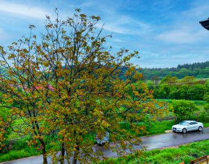 Ház 5 szobák eladó on Cluj-napoca