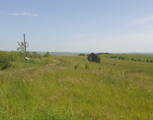 Telek eladó on Cluj-napoca, Zóna Borhanci