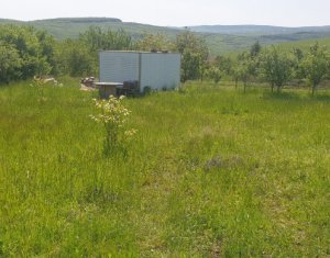 Telek eladó on Cluj-napoca, Zóna Borhanci