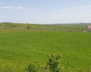 Telek eladó on Cluj-napoca, Zóna Borhanci