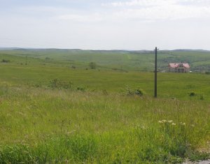 Telek eladó on Cluj-napoca, Zóna Borhanci