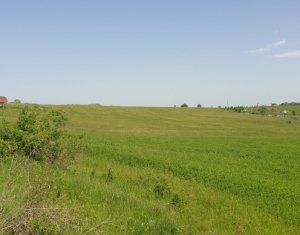 Telek eladó on Cluj-napoca, Zóna Borhanci