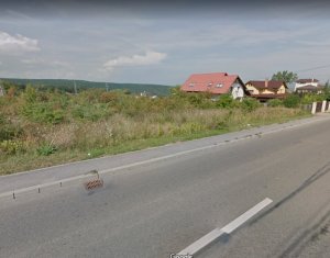 , 620m2 on Cluj-napoca, Zóna Europa