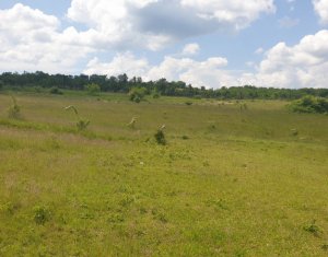 , 800m2 dans Cluj-napoca, zone Borhanci