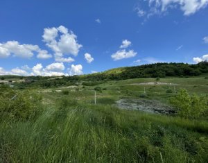 Telek eladó on Cluj-napoca, Zóna Faget