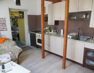 Maison 5 chambres à vendre dans Cluj-napoca, zone Marasti
