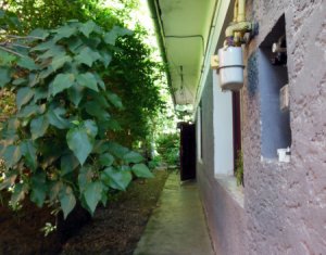 Maison 2 chambres à vendre dans Cluj-napoca, zone Gruia