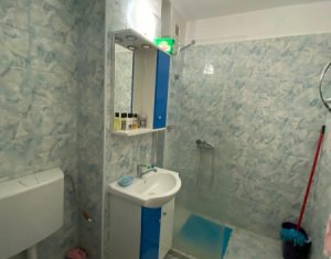 Appartement 1 chambres à vendre dans Cluj-napoca, zone Manastur