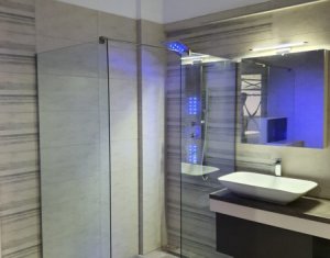 Appartement 2 chambres à louer dans Cluj-napoca, zone Europa