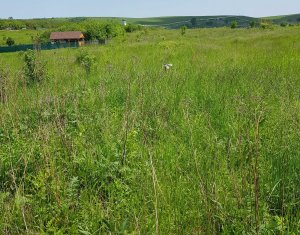 , 934m2 dans Cluj-napoca, zone Sopor