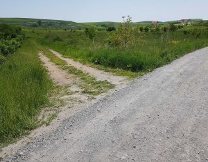 Terrain à vendre dans Cluj-napoca, zone Sopor