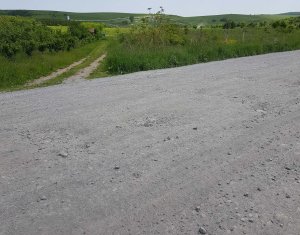 Terrain à vendre dans Cluj-napoca, zone Sopor