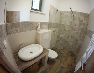 Appartement 4 chambres à louer dans Cluj-napoca, zone Centru