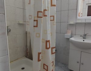 Appartement 1 chambres à louer dans Cluj-napoca, zone Marasti