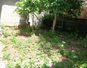 Maison 3 chambres à vendre dans Cluj-napoca, zone Dambul Rotund